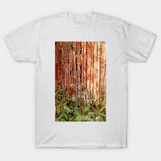 Rain Forest T-Shirt